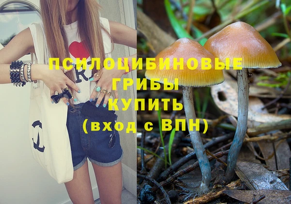 мяу мяу мука Балахна
