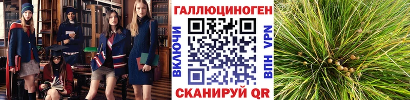 Псилоцибиновые грибы Magic Shrooms  где купить наркоту  Балтийск 